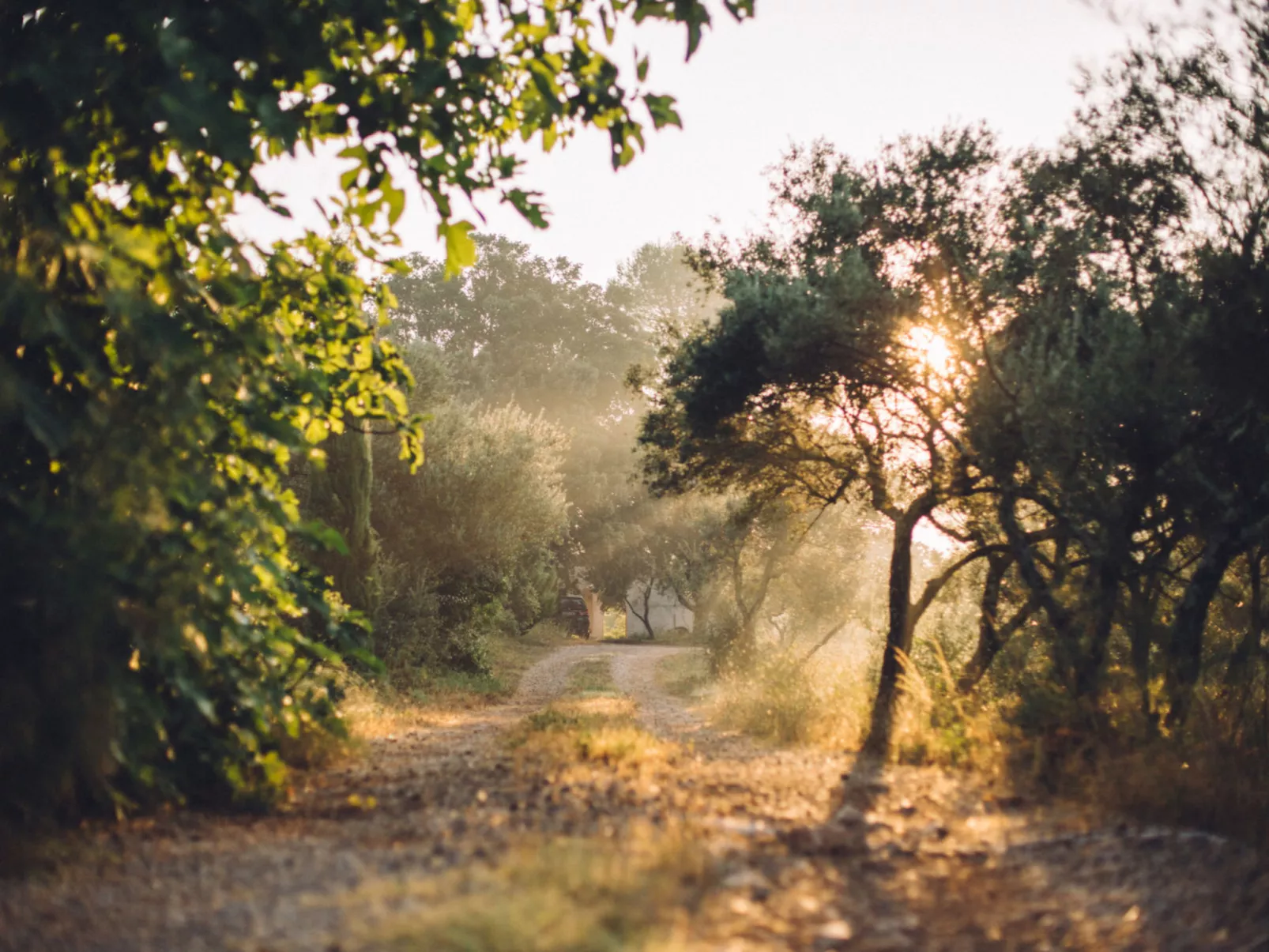 MAS DU PERIGOULIER - Outside