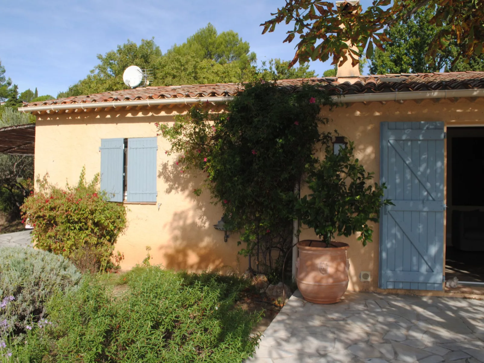 ARTS & FLORES - Dehors