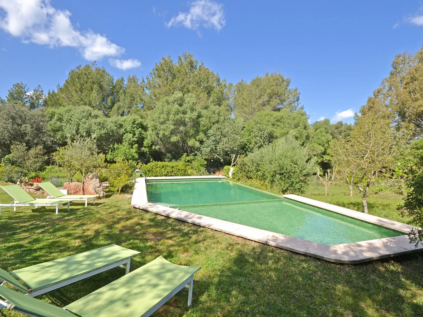 Spiros &quot-Camp Roig&quot- - Dehors