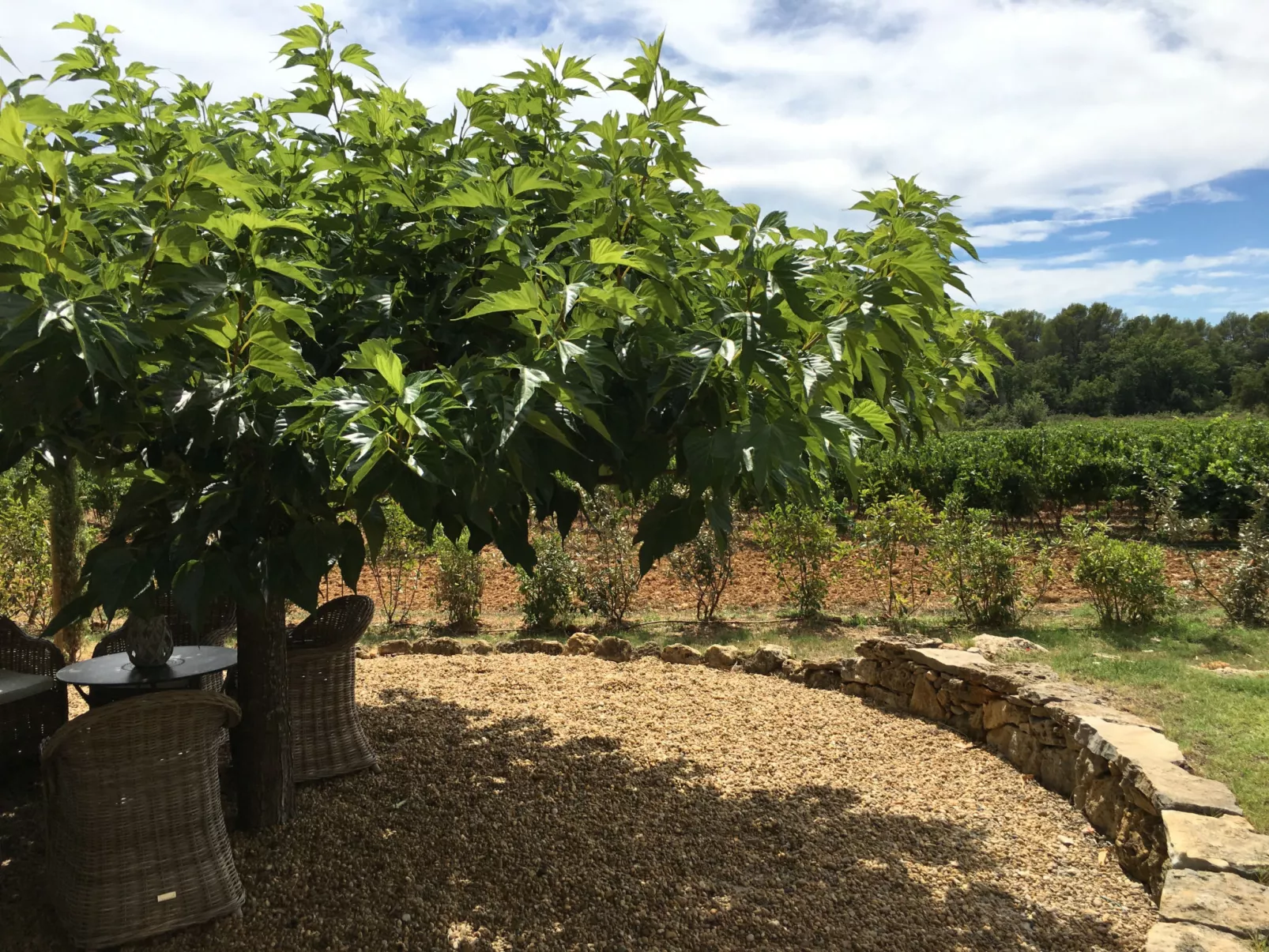 LI SIAN BEN - Outside