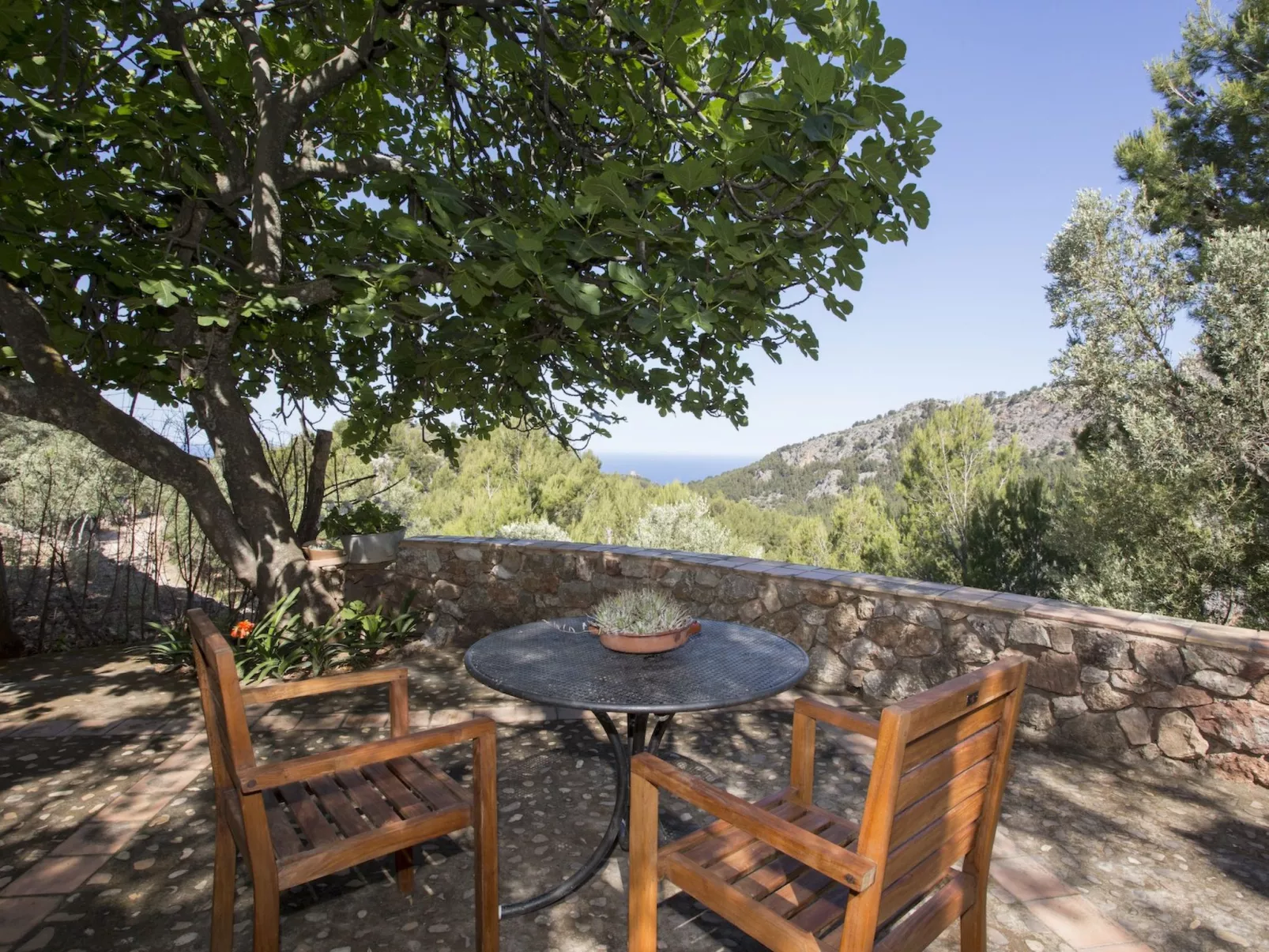 VILLA ES COCO SOLLER - Draußen