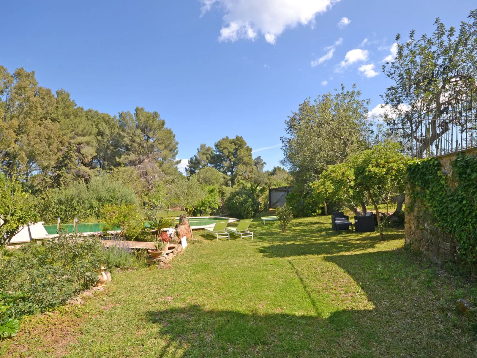 Spiros &quot-Camp Roig&quot- - Dehors