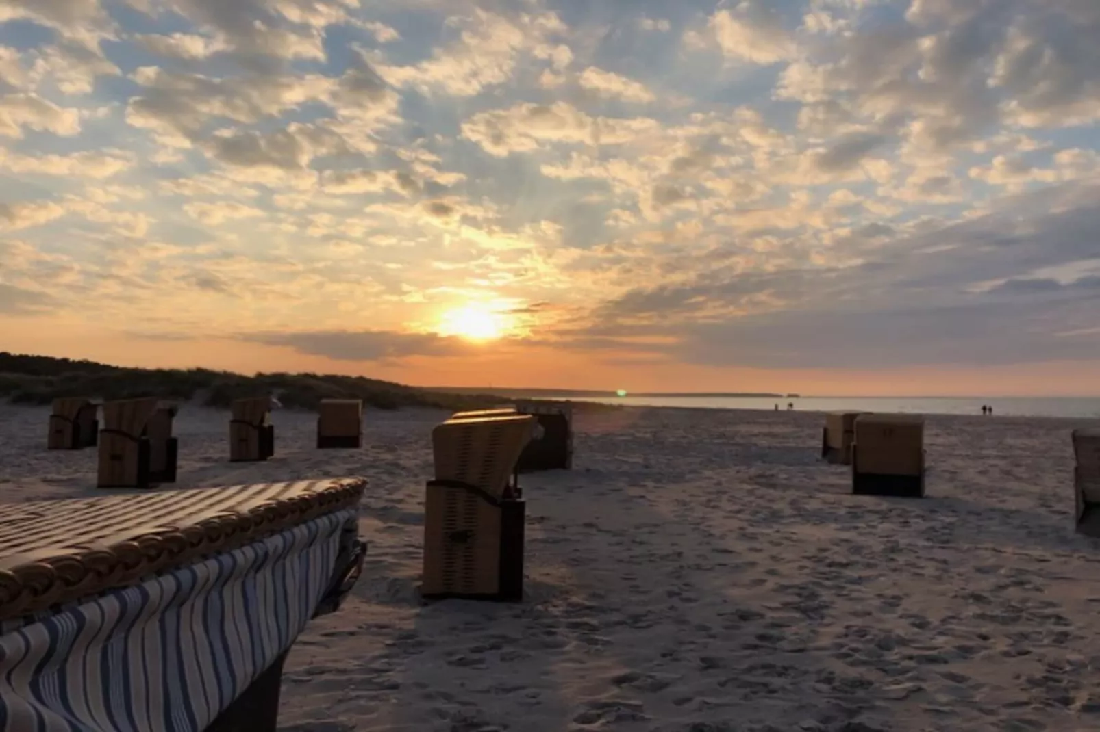 Doppelhaushälfte Zingst-Haus Paradise - Zones été à 1 km
