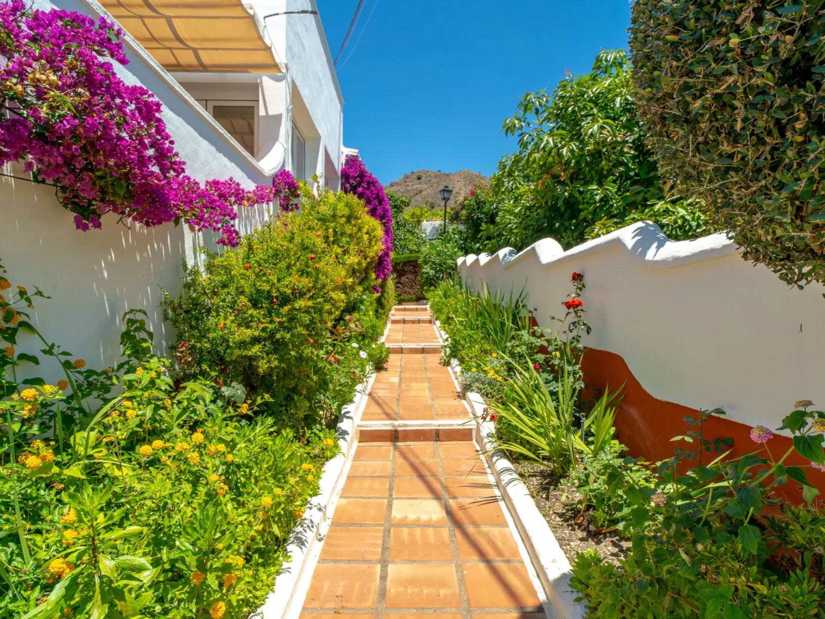 Los Aguacates Bellavista by Casasol - Outside