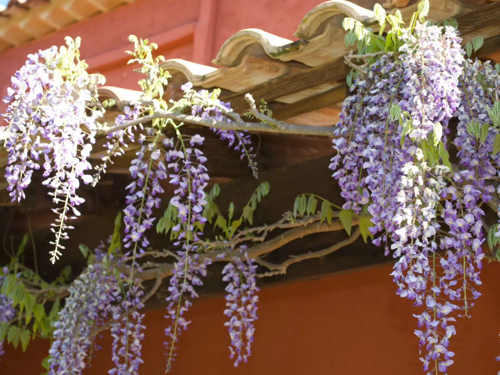 LES VALERIANES - Outside