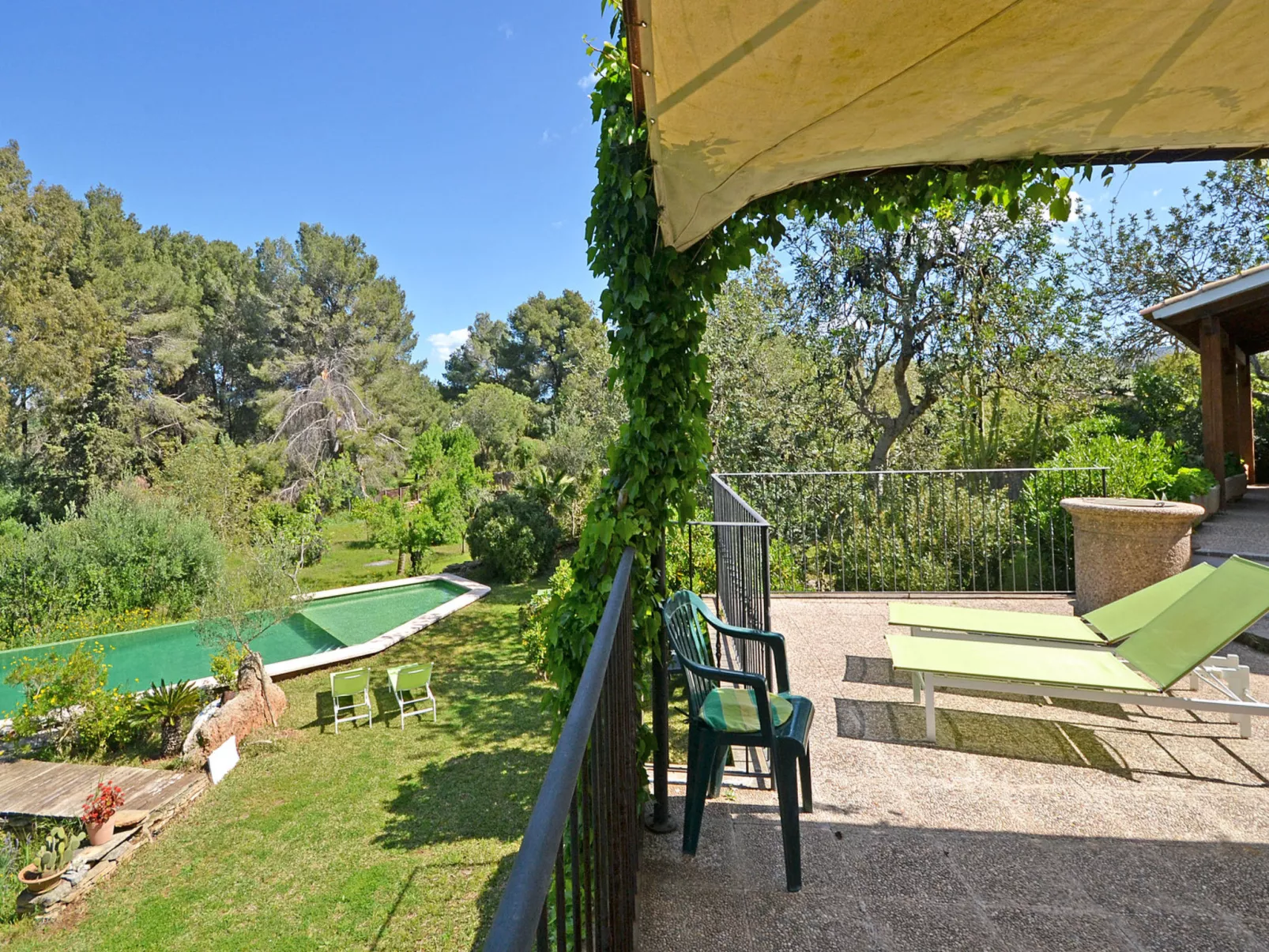 Spiros &quot-Camp Roig&quot- - Dehors