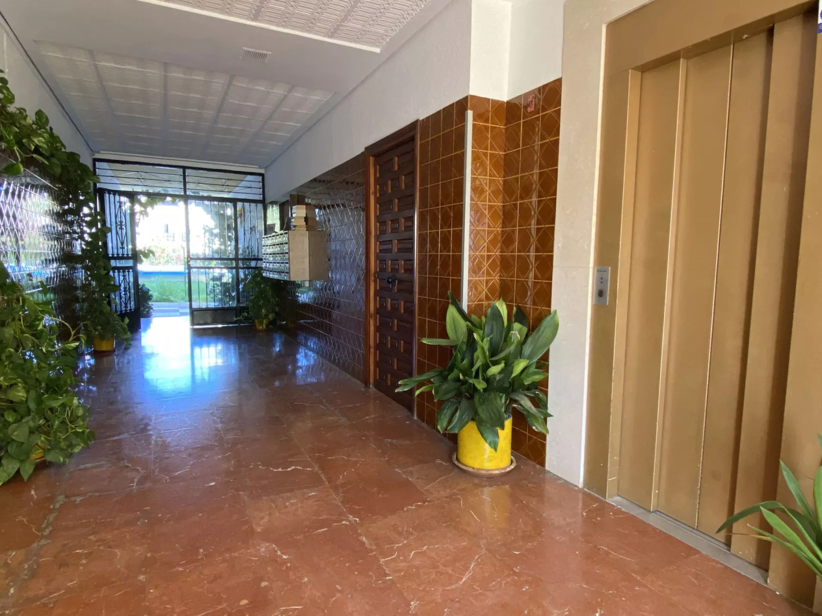 Acapulco Apartment 16 by Casasol - Draußen