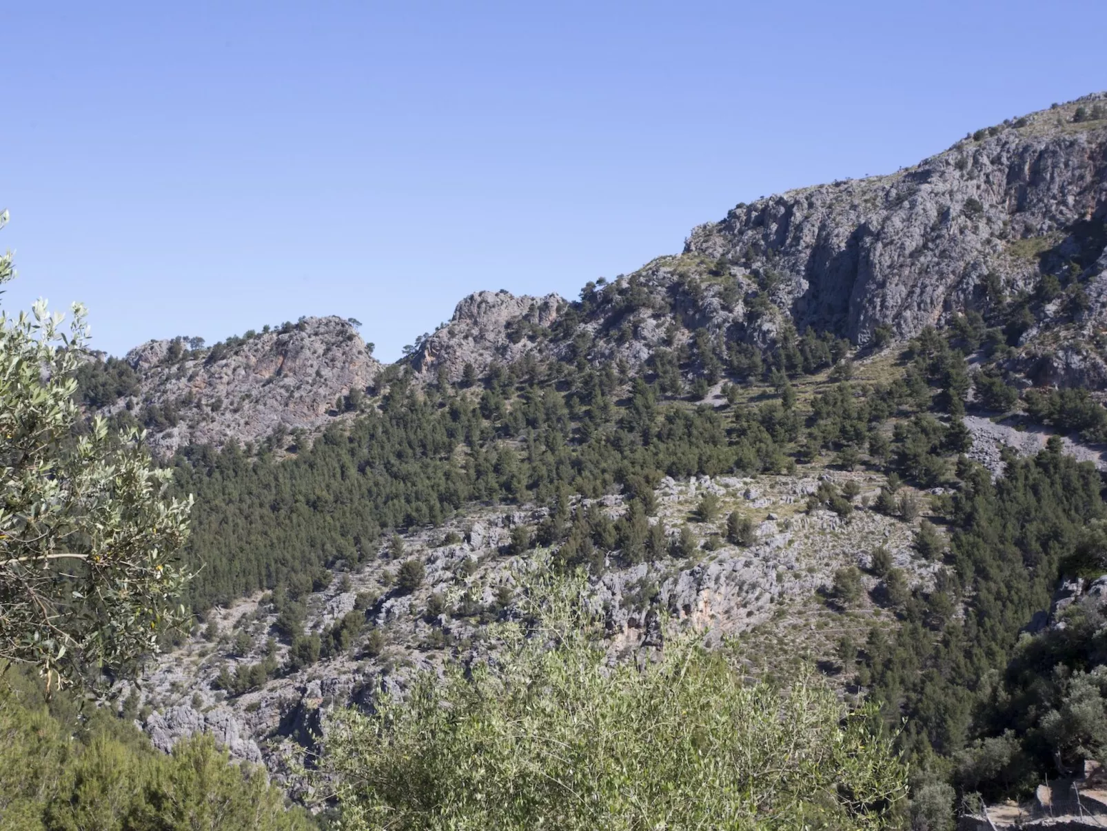 VILLA ES COCO SOLLER - Draußen