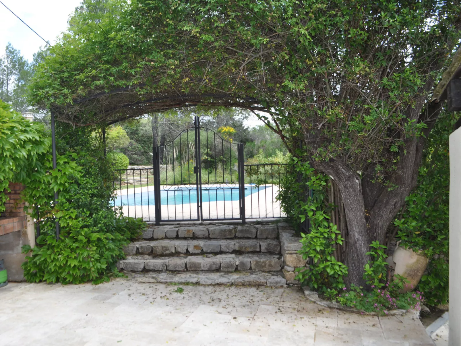 LES 2 PALMIERS - Draußen