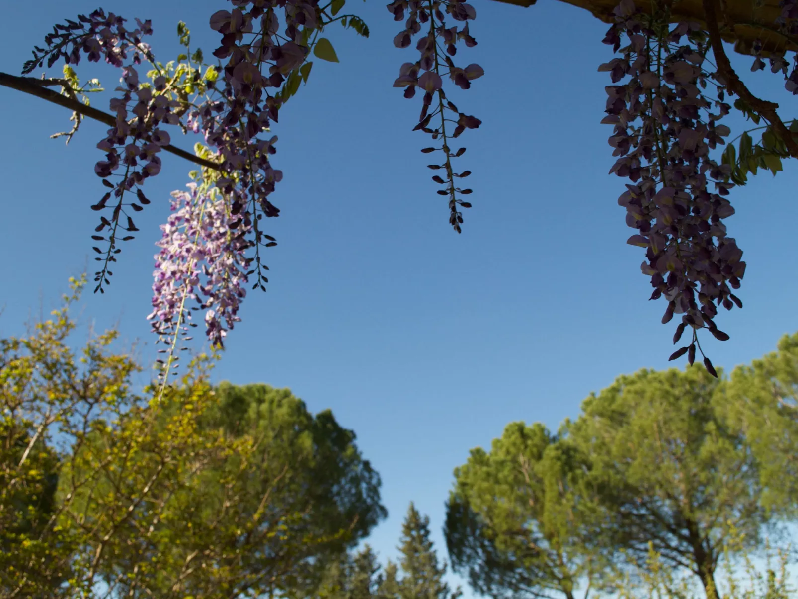 LES VALERIANES - Outside