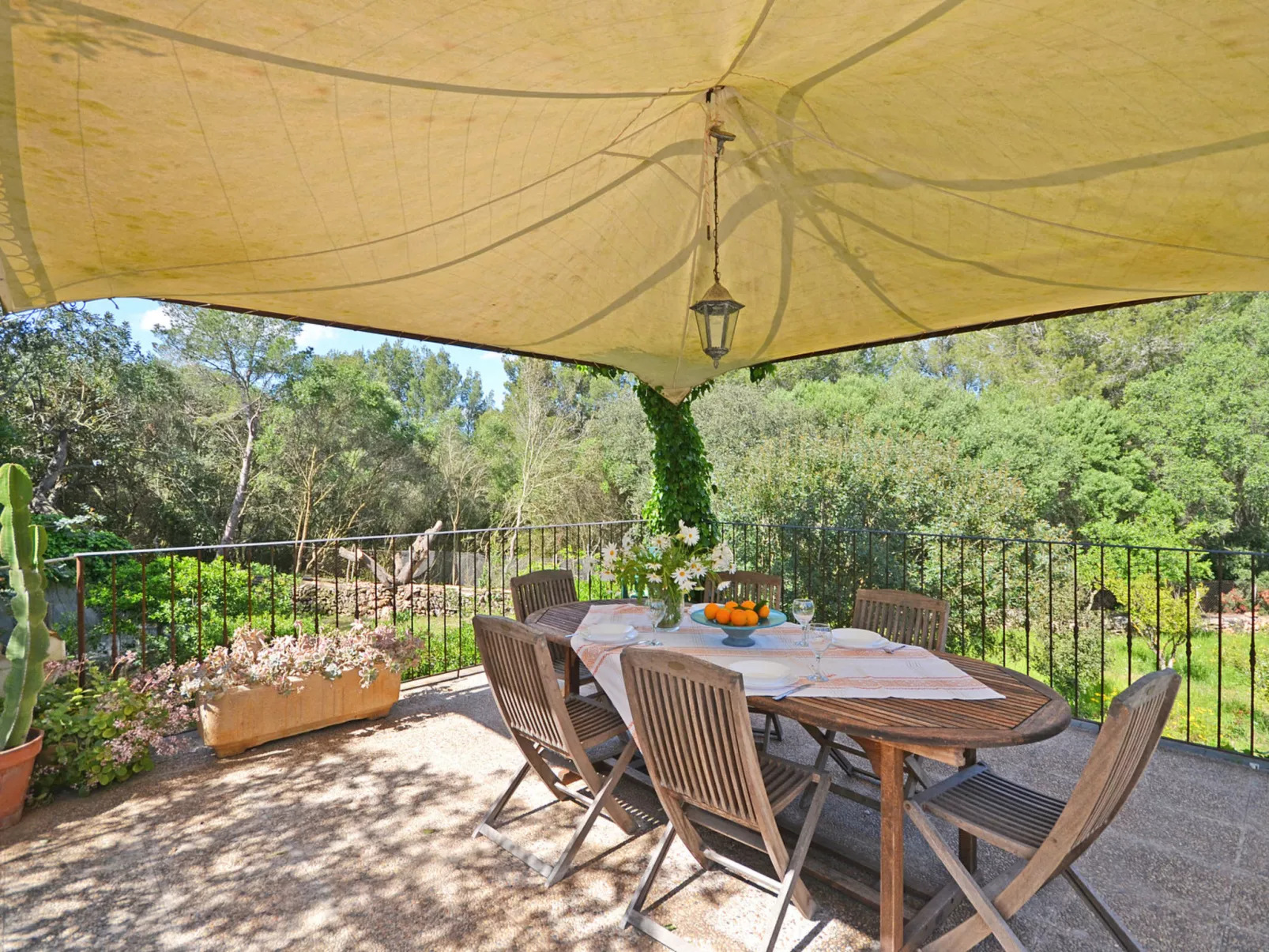 Spiros &quot-Camp Roig&quot- - Dehors