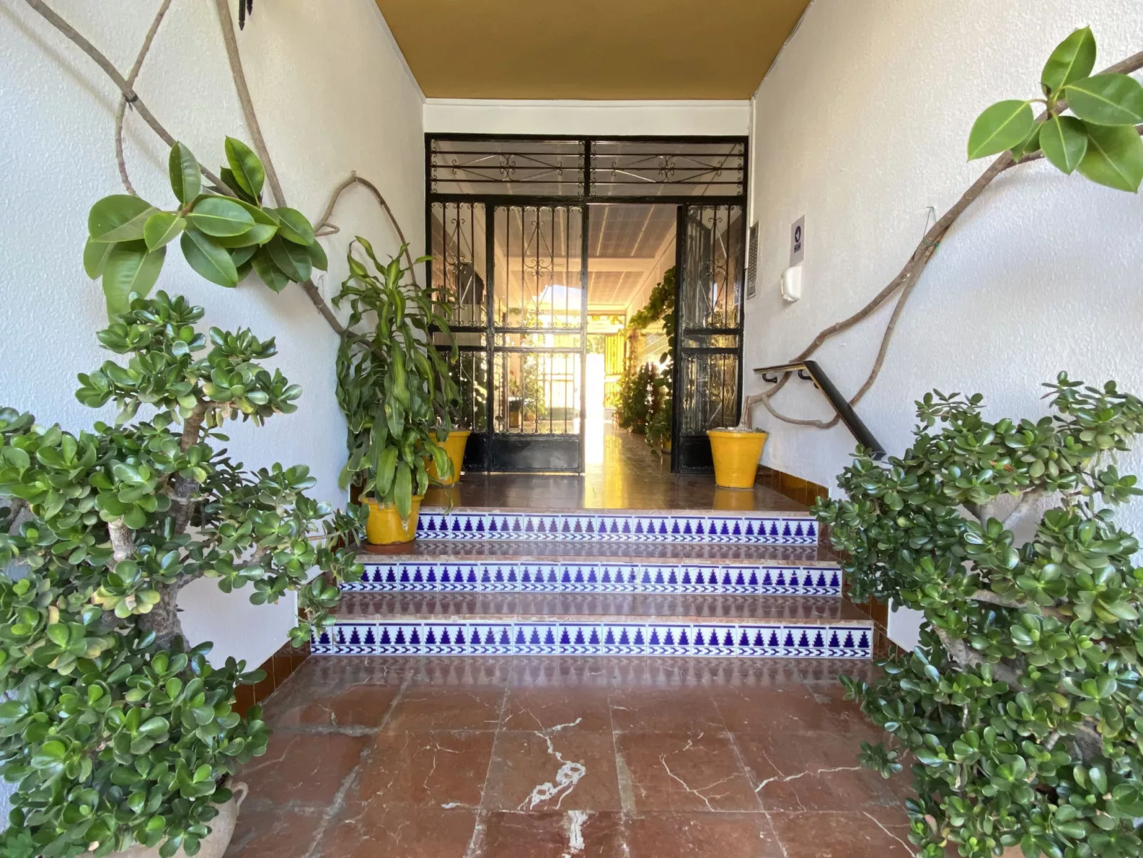 Acapulco Apartment 16 by Casasol - Draußen