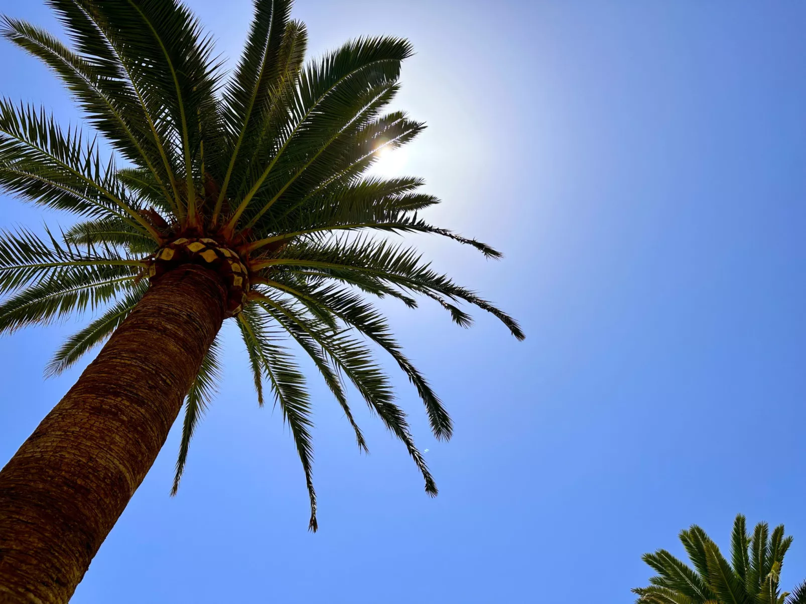 Carabeo 26 Boutique Studio by Casasol - Outside