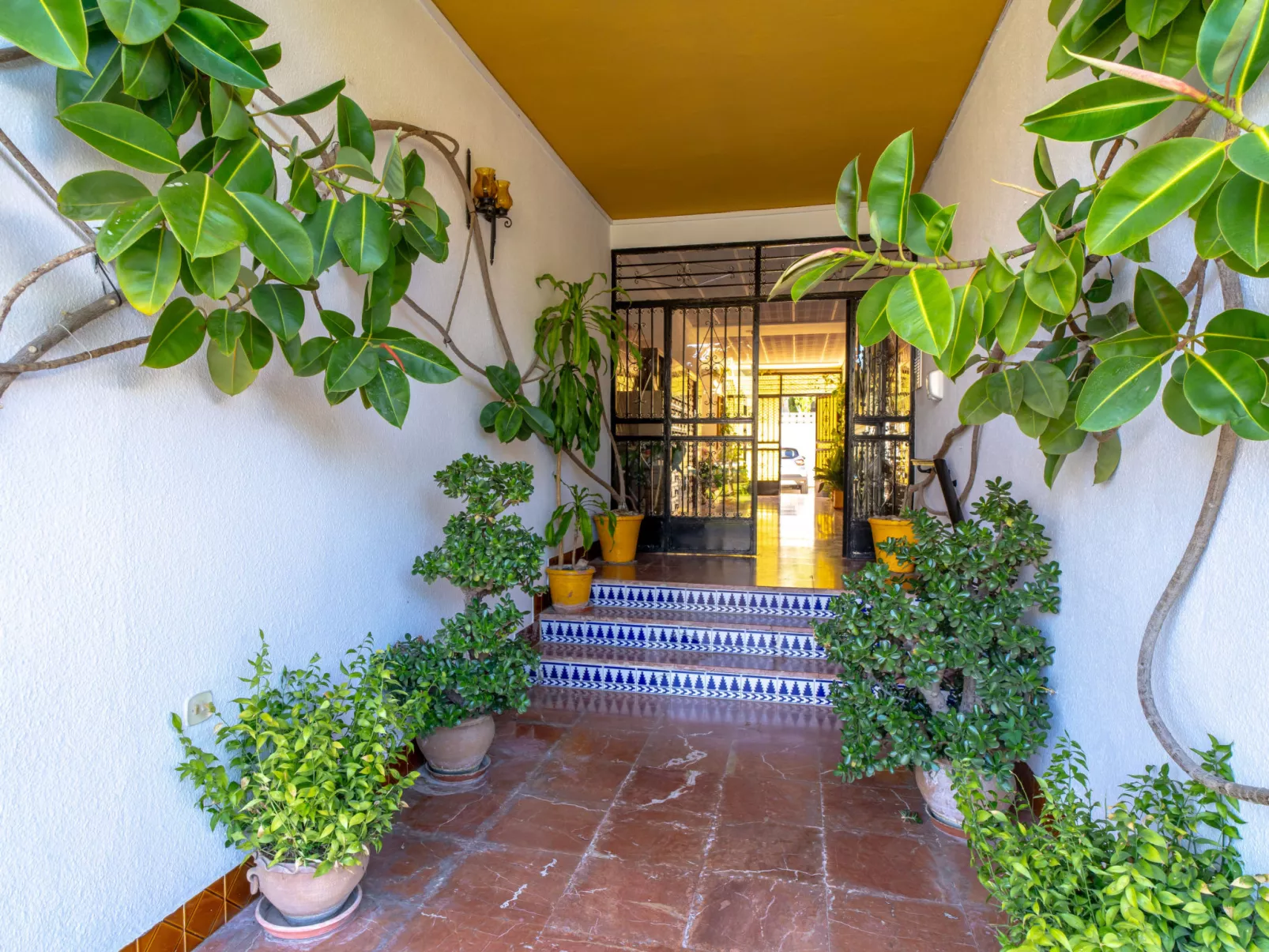 Acapulco Apartment 7 by Casasol - Draußen