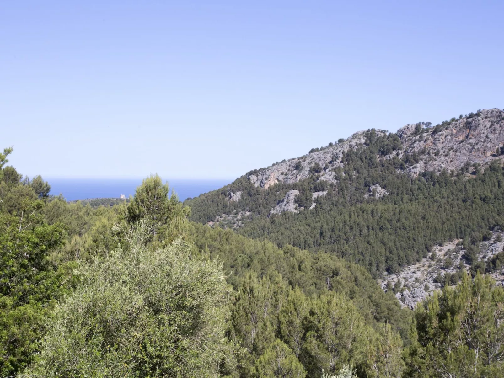 VILLA ES COCO SOLLER - Draußen