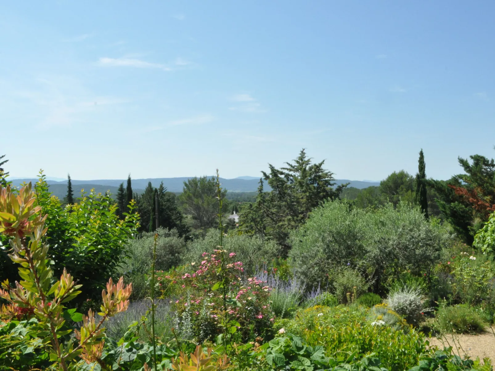 ARTS & FLORES - Dehors