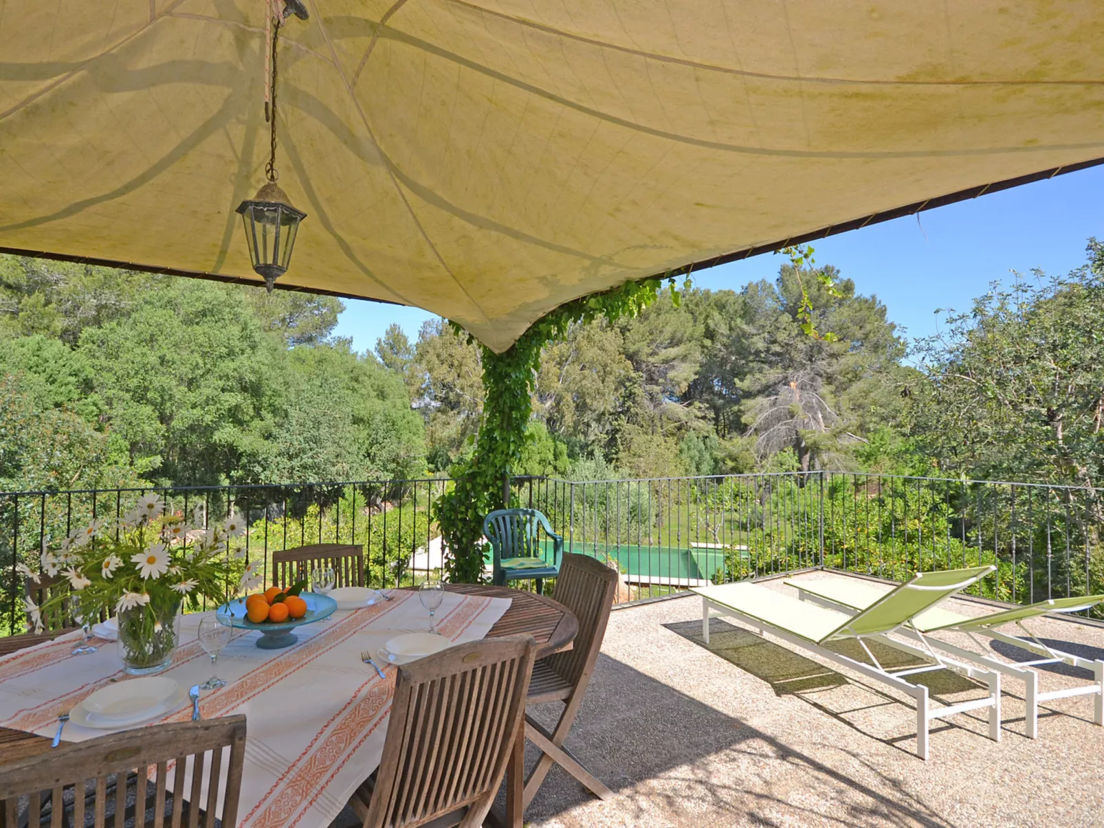 Spiros &quot-Camp Roig&quot- - Dehors