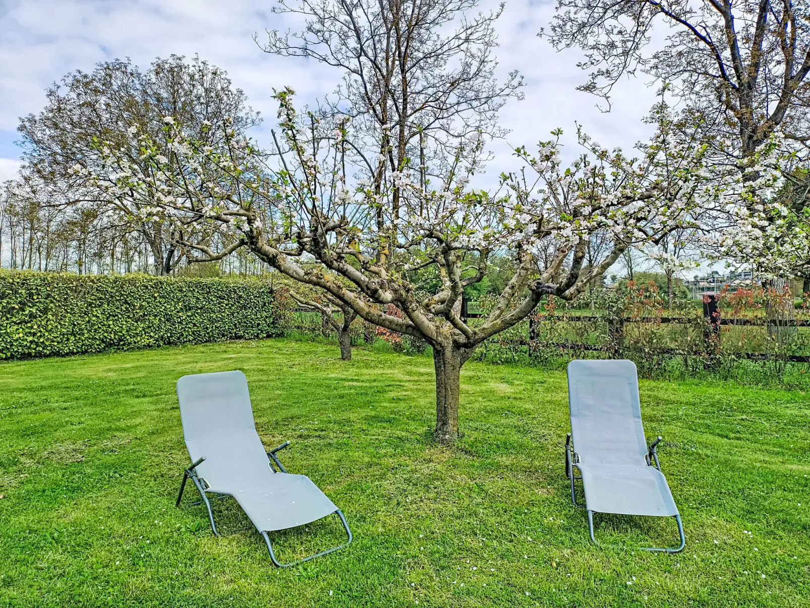 Il Molino Antico - Dehors