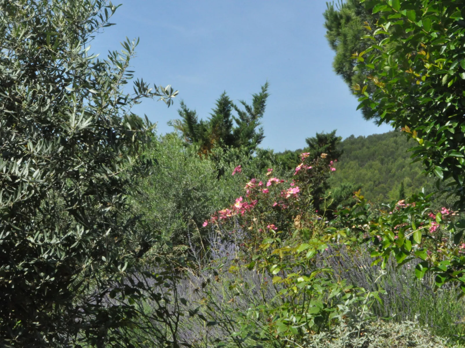 ARTS & FLORES - Dehors