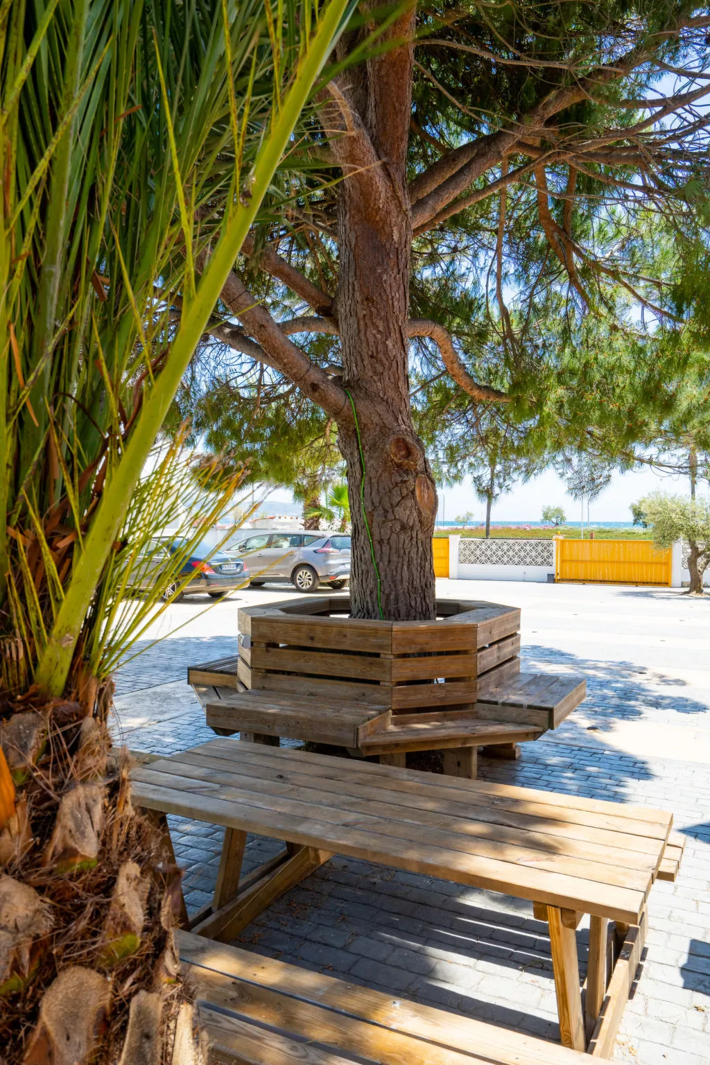 La Vida Sin Limites G EMP - Outside