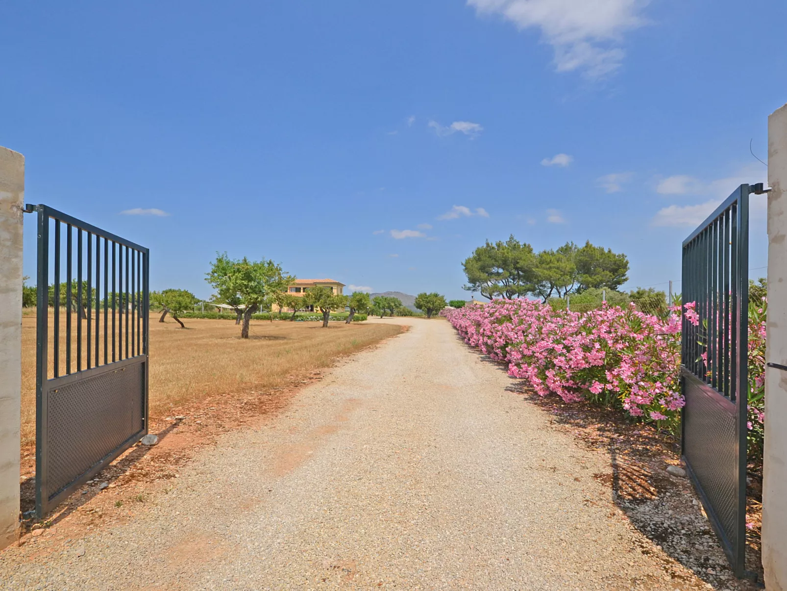 Ses Nines - Draußen