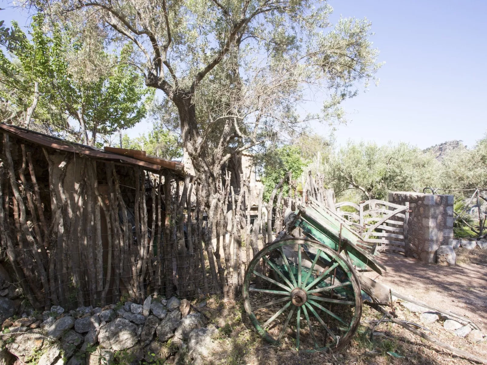 VILLA ES COCO SOLLER - Draußen