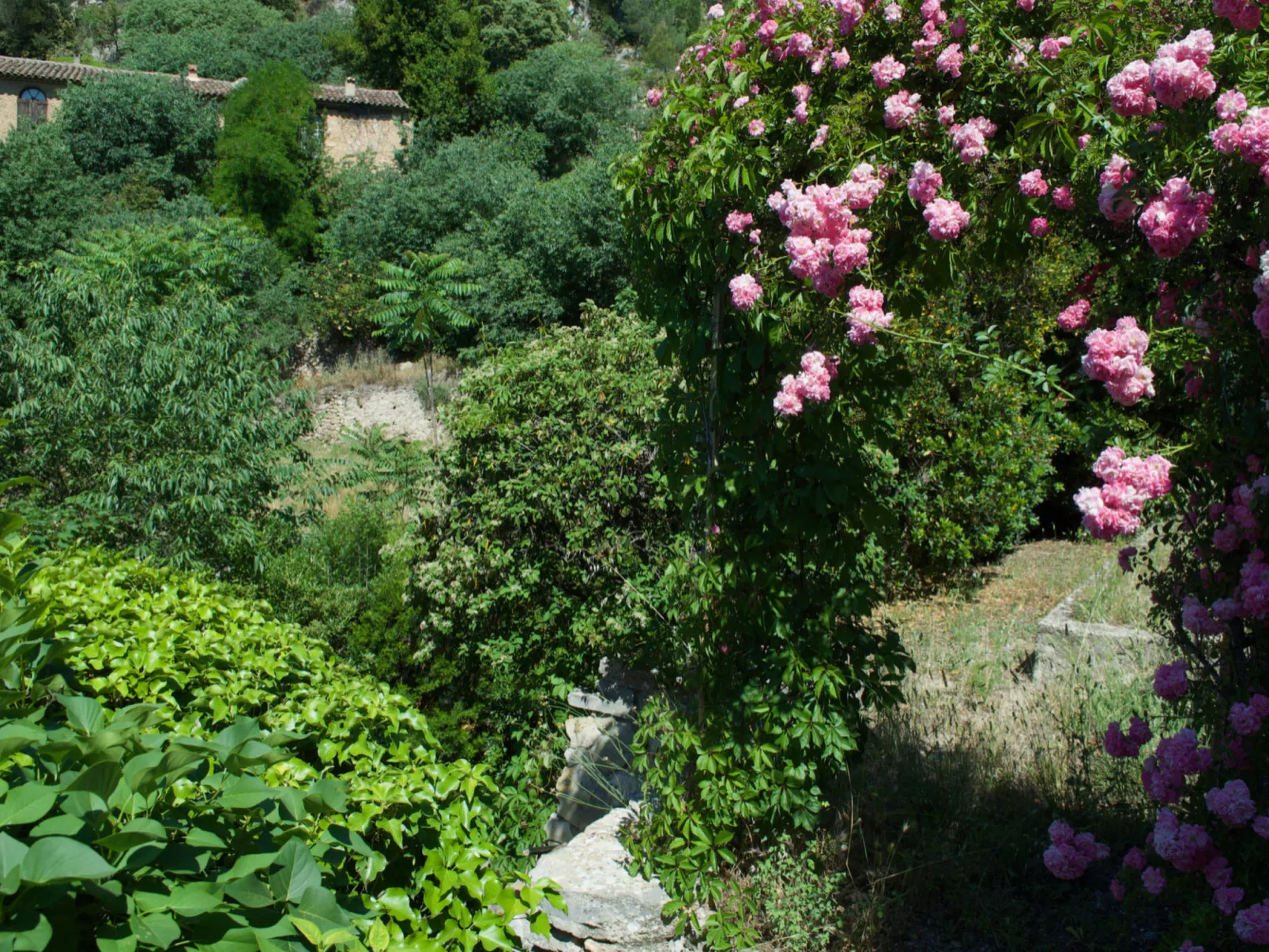 MAISON PERCHEE - Draußen