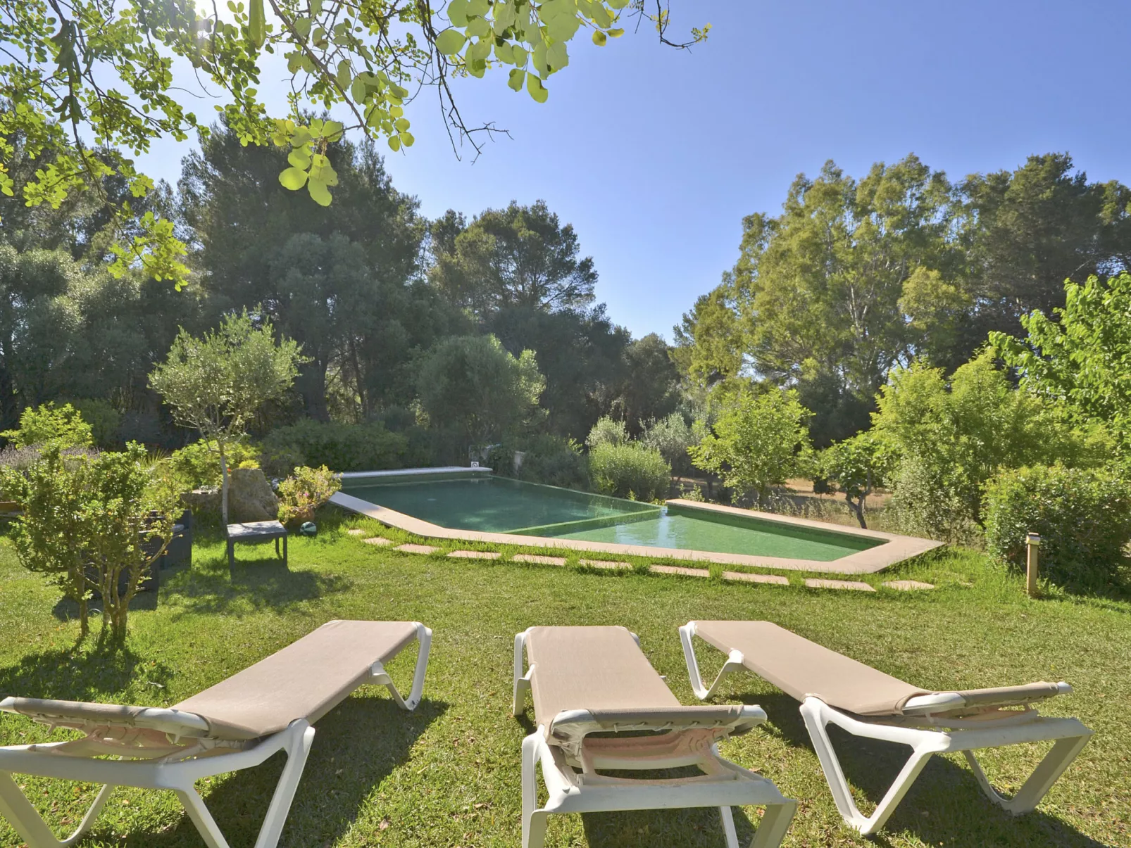 Spiros &quot-Camp Roig&quot- - Dehors