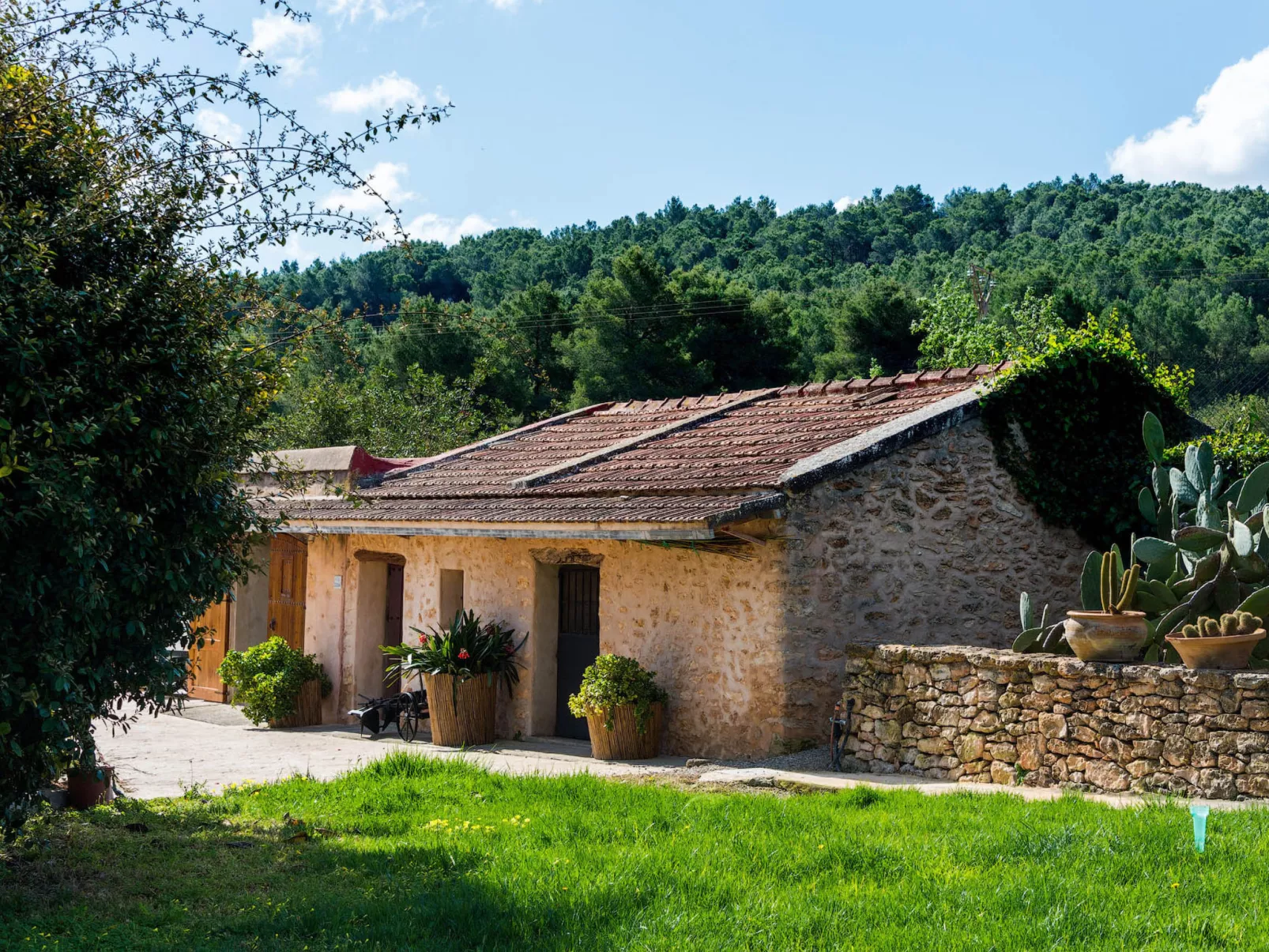 VILLA CAN FITA - Draußen