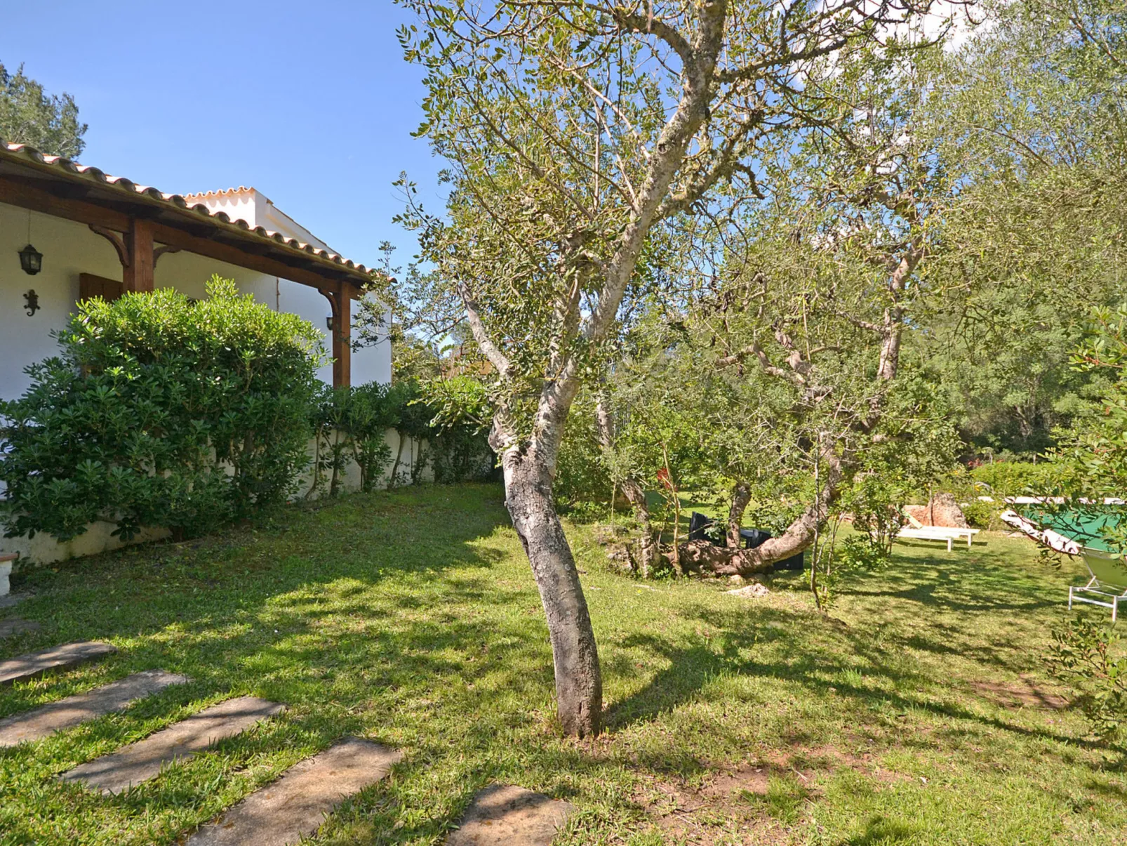 Spiros &quot-Camp Roig&quot- - Dehors