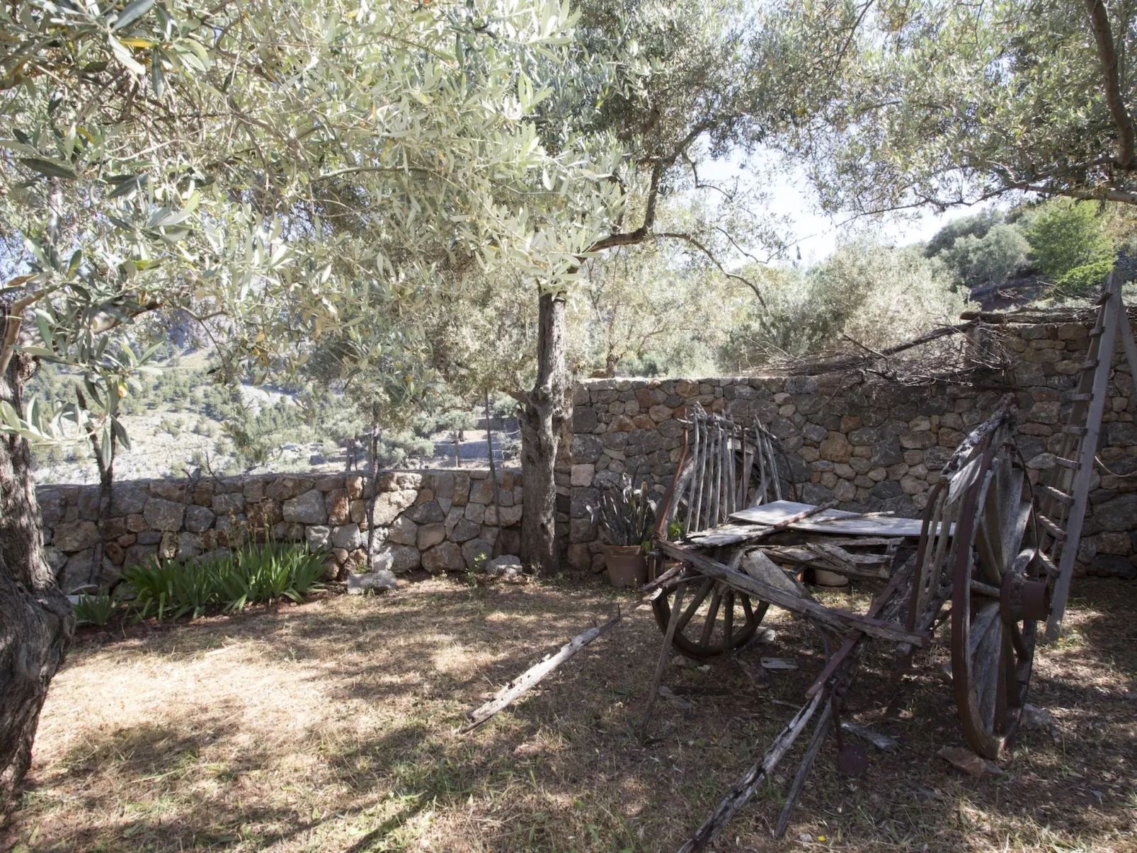 VILLA ES COCO SOLLER - Draußen