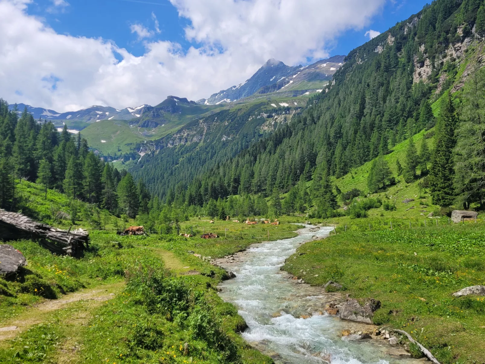 Schönblick - Daniela1 - Outside