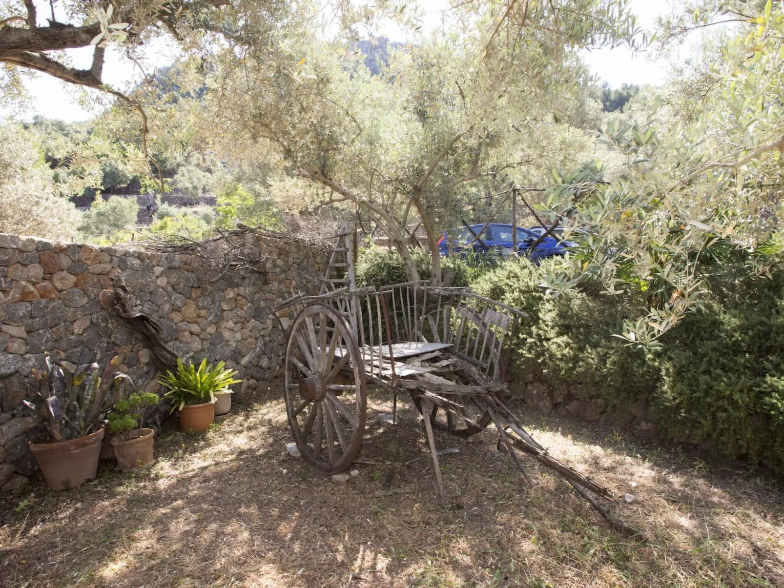 VILLA ES COCO SOLLER - Draußen