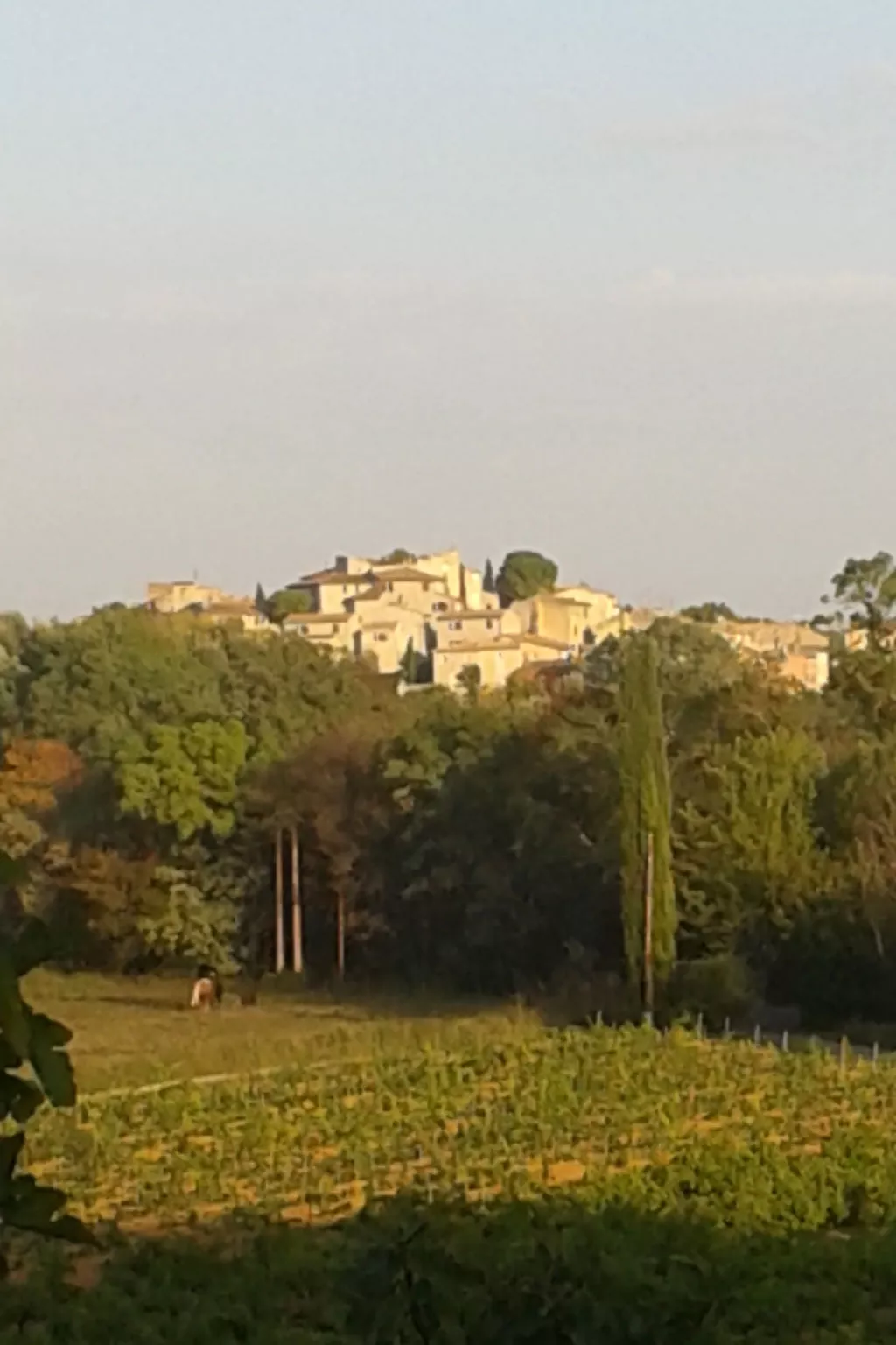 LA CADENIERE - Dehors