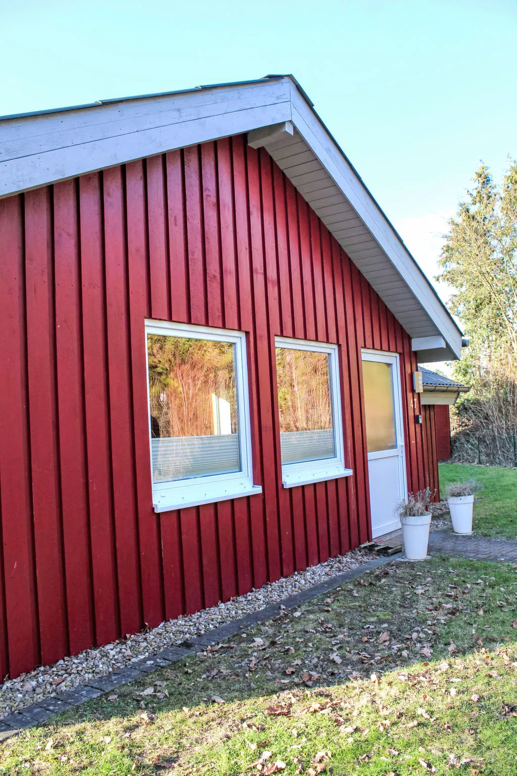 Heckenrose - Outside