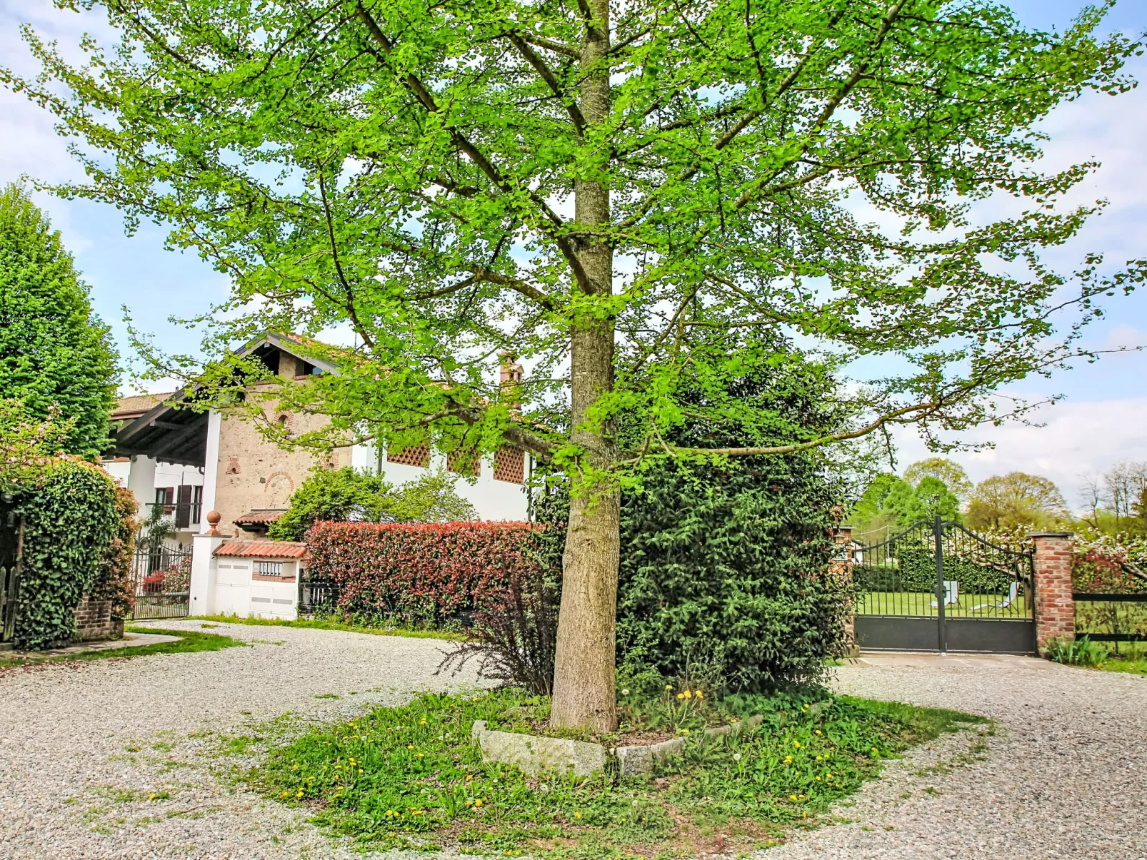 Il Molino Antico - Dehors