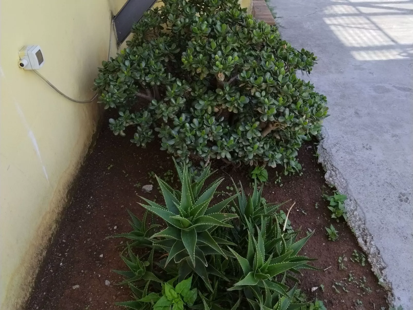 Appartement in Caprioli mit Garten, Terrasse und Grill - Image-tags.info