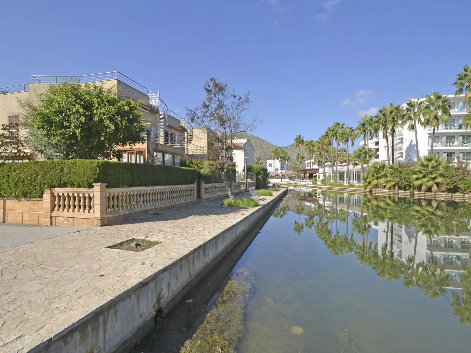 Amparo Luca - Draußen