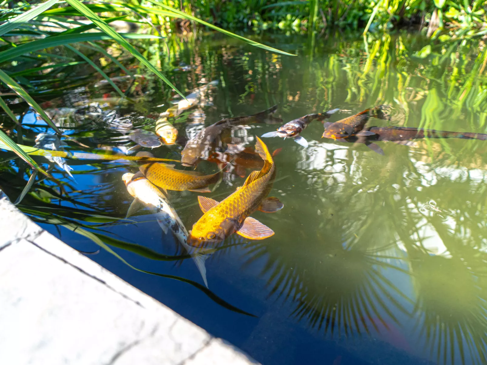 Casablanca Sunny Terrace by Casasol - Draußen