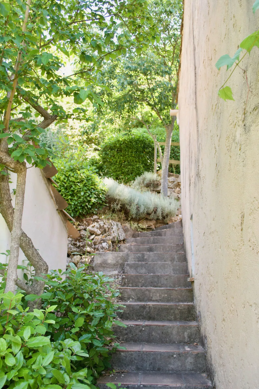 MAISON PERCHEE - Draußen