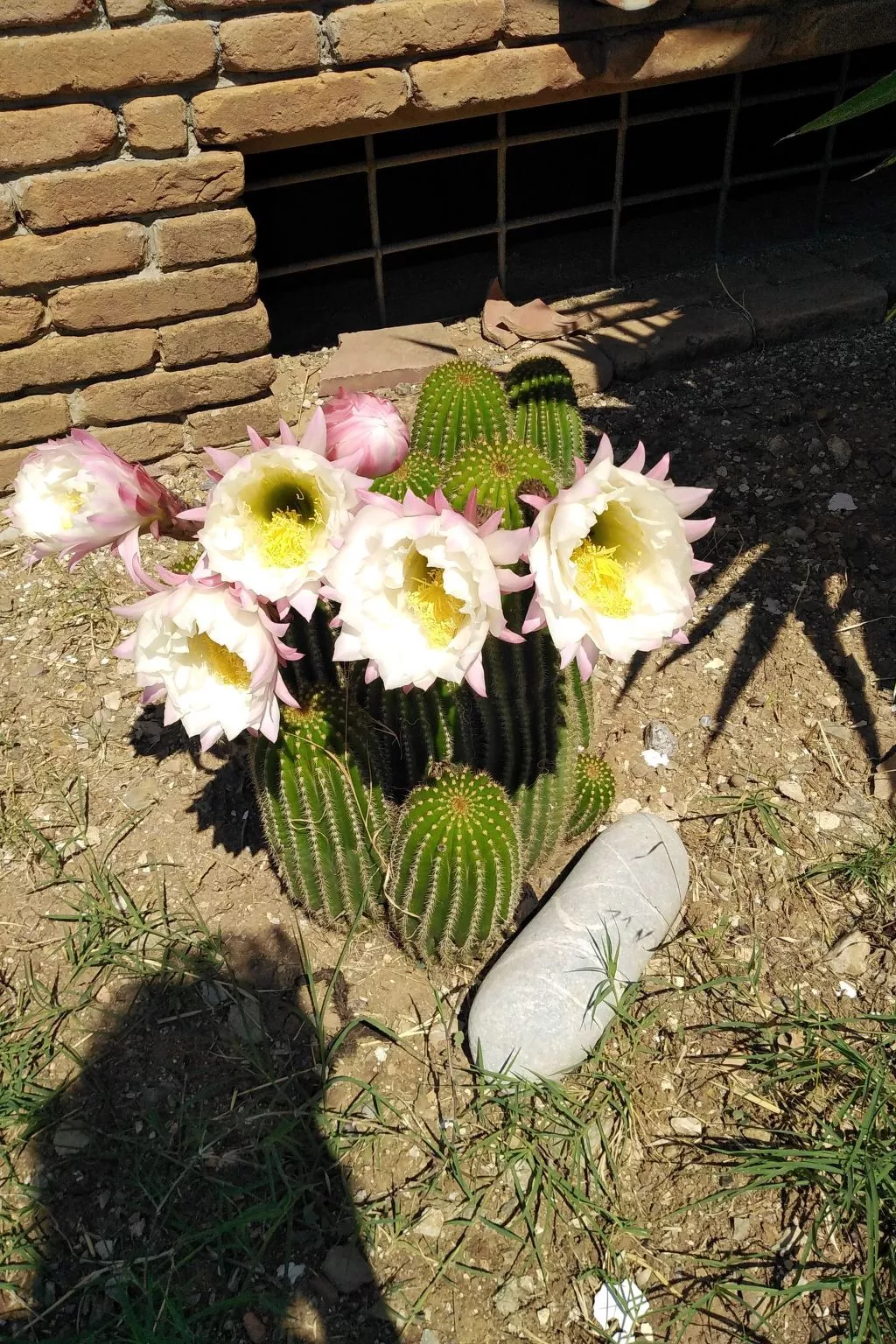 Appartement in Caprioli mit Garten, Terrasse und Grill - Image-tags.info