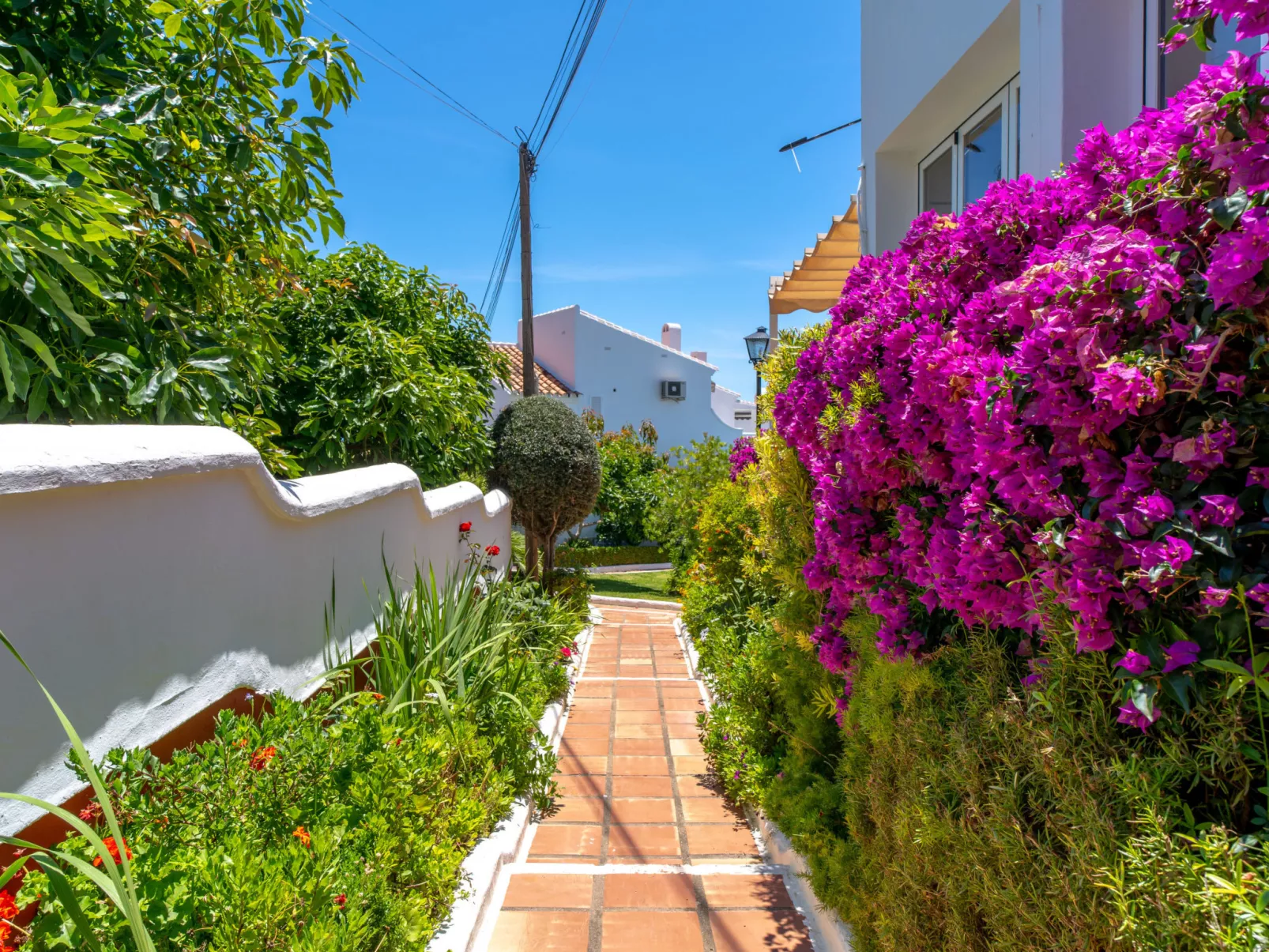 Los Aguacates Bellavista by Casasol - Outside