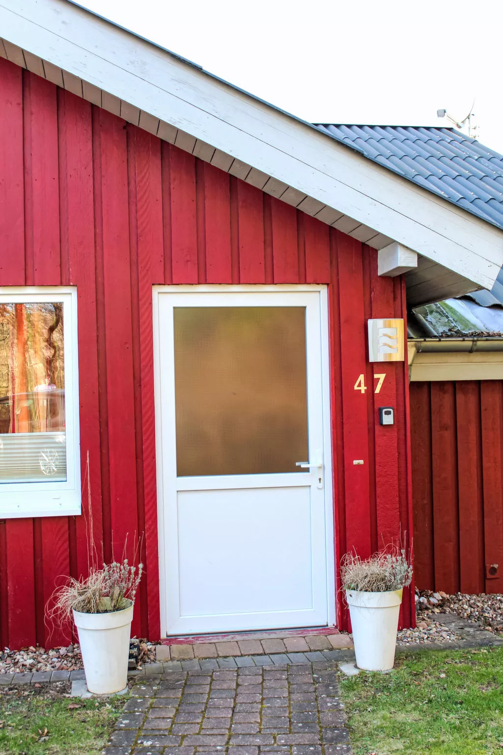 Heckenrose - Outside