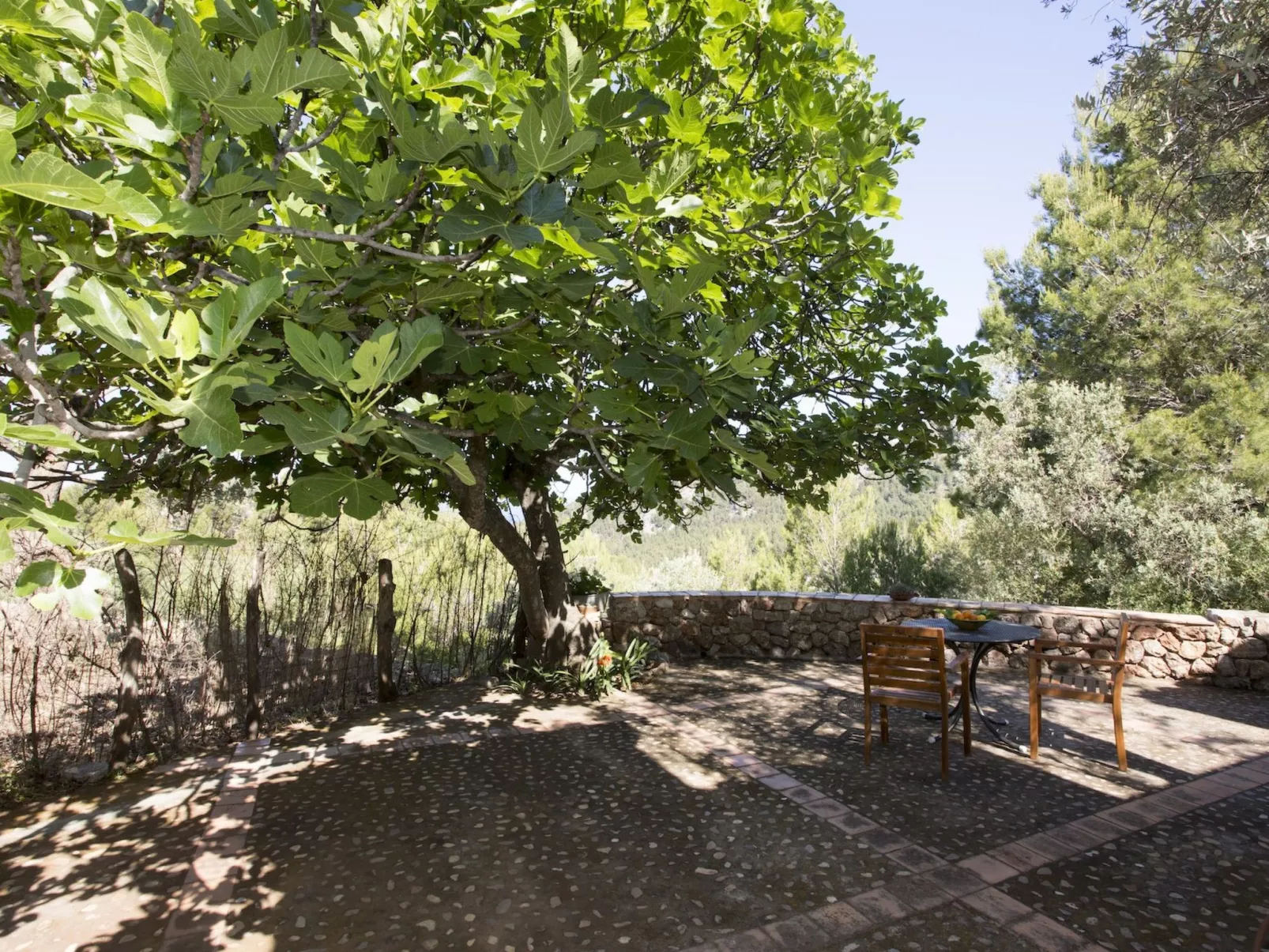 VILLA ES COCO SOLLER - Draußen