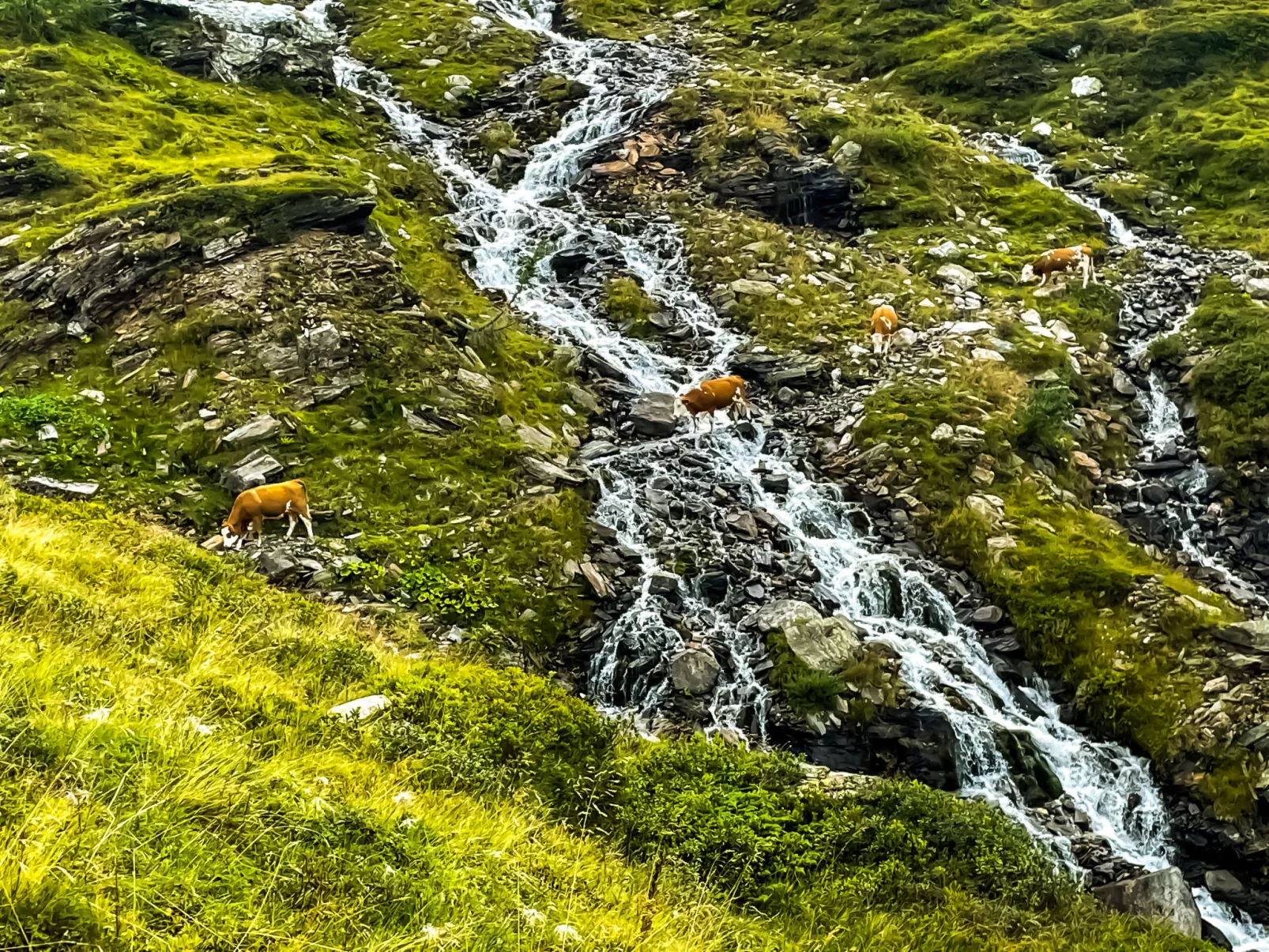 Schönblick - Daniela1 - Outside