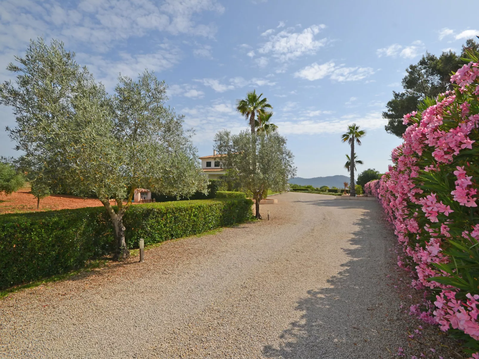 Ses Nines - Draußen