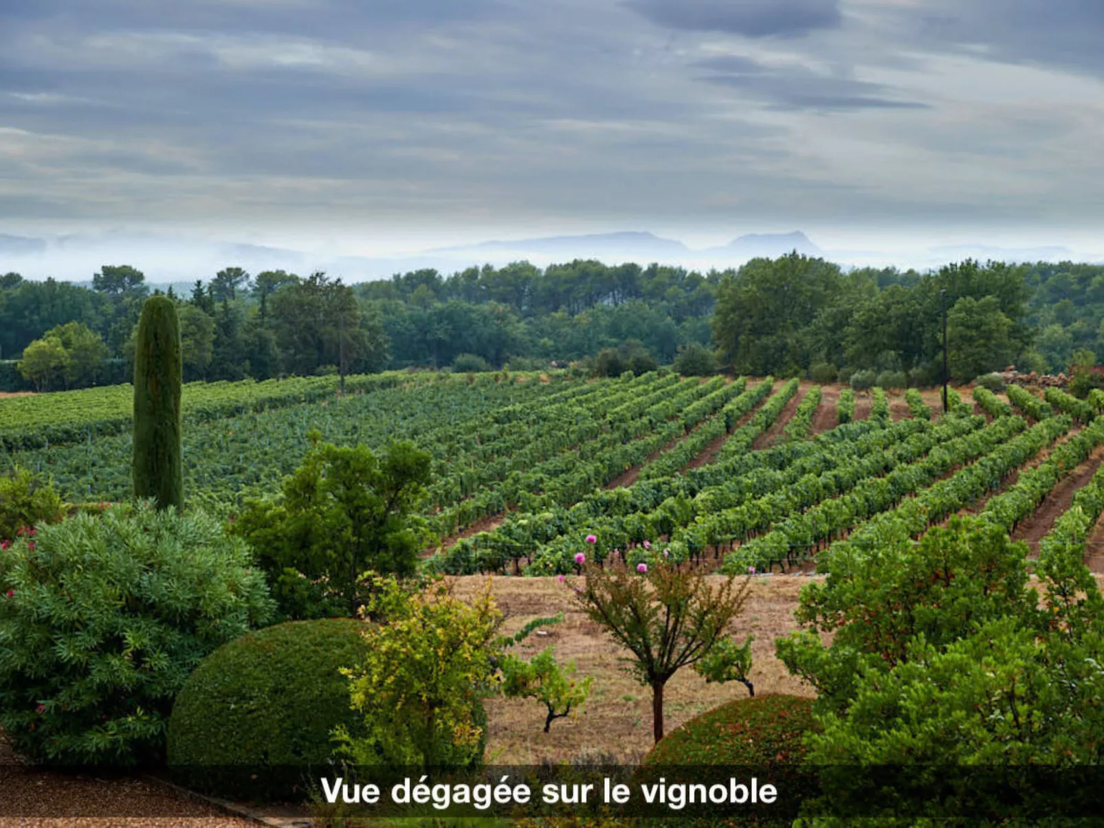 LA VOLIERE - Dehors