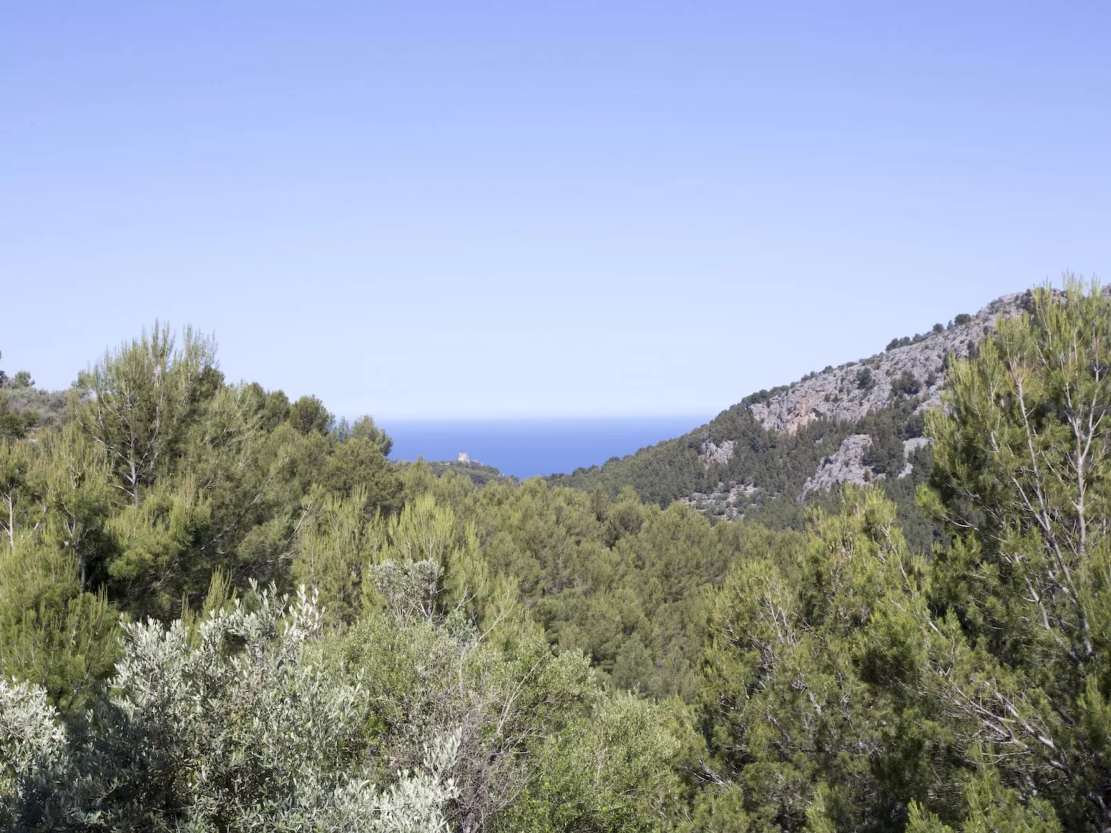 VILLA ES COCO SOLLER - Draußen