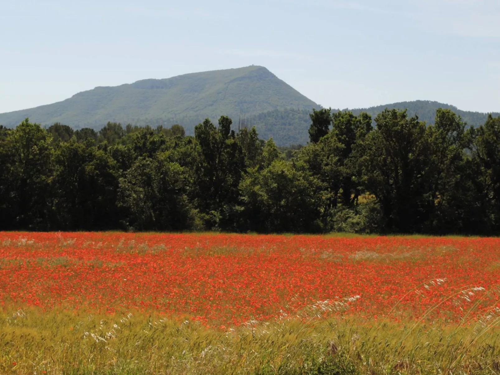 LES 2 PALMIERS - Draußen