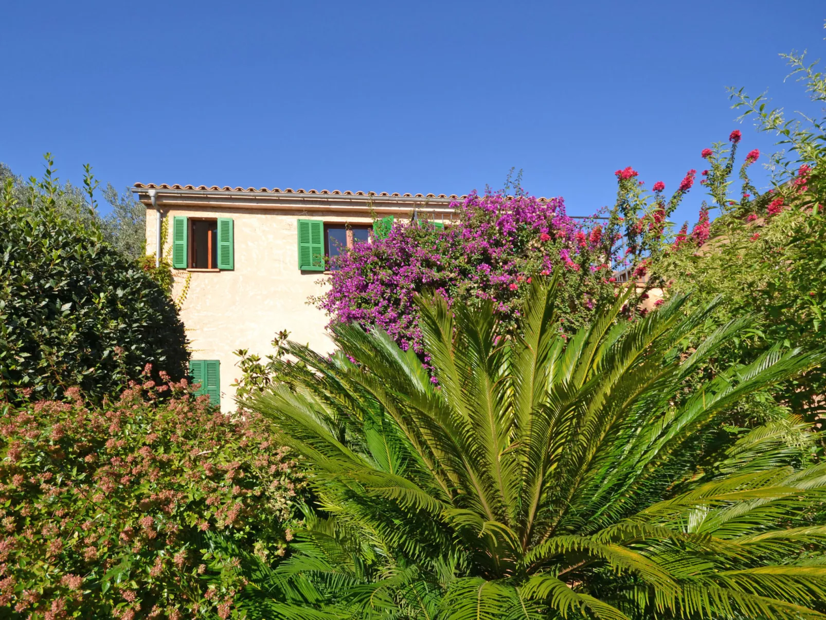 Can Casta (Sonrisa 12) - Dehors